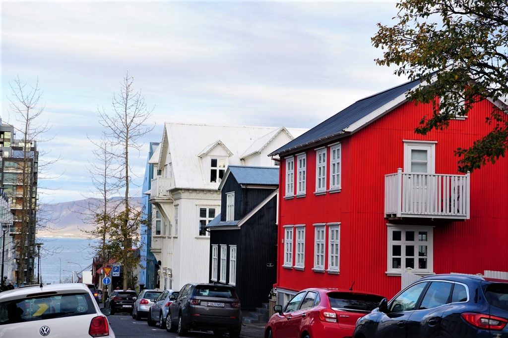 IJsland - Reismeis