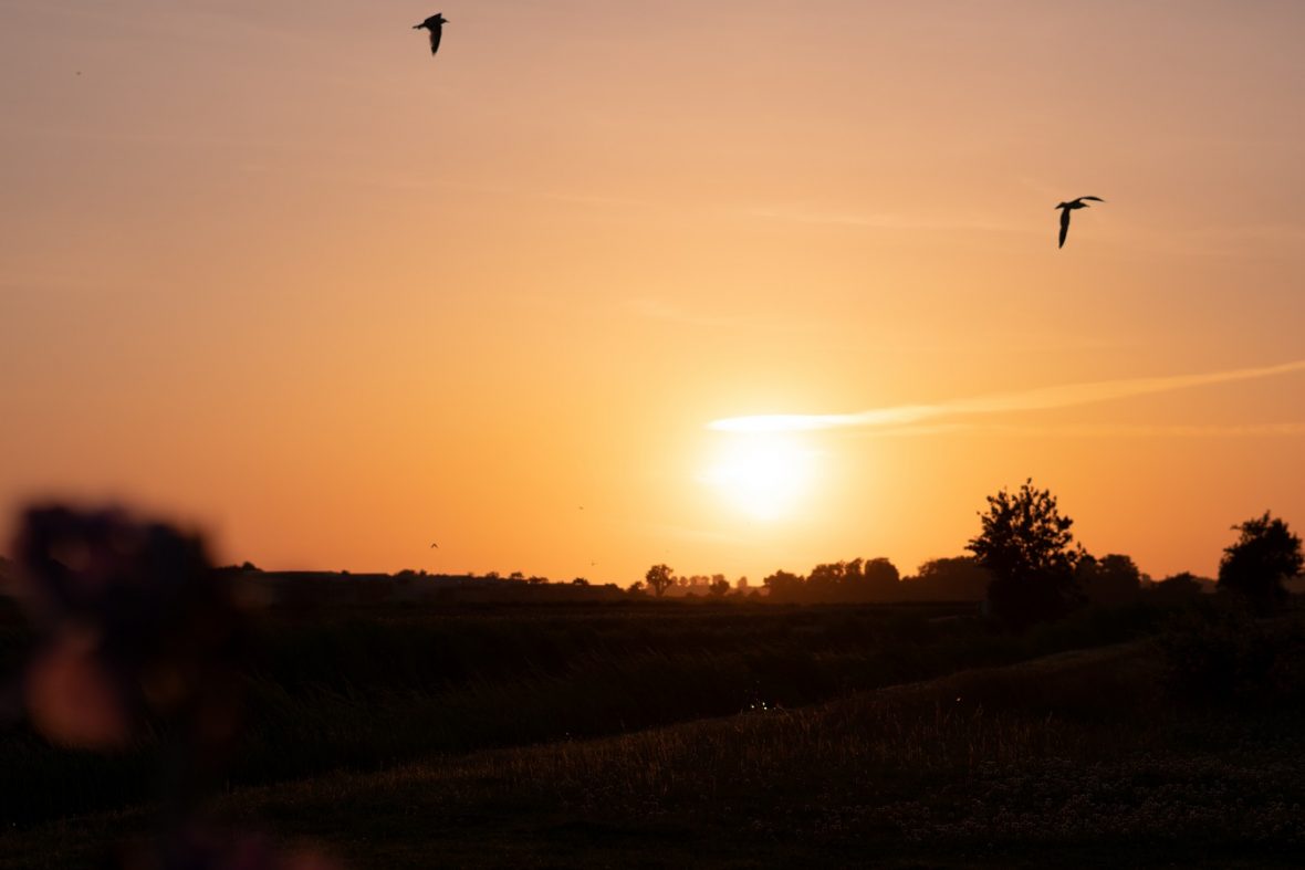 Zonsondergang Nederland